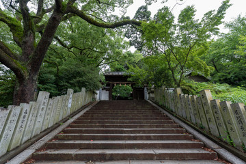 Shinonome Shrine. in Matsuyama Castle