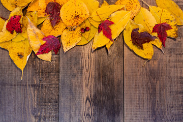 Autumn background with colored leaves on wooden board