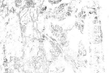 Black and white background. Abstract pattern of monochrome sketching picture