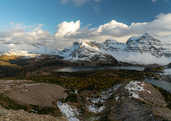 Fototapeta na wymiar A panorama of some fall colors in the Canadian Rockies below epic snow covered peaks 