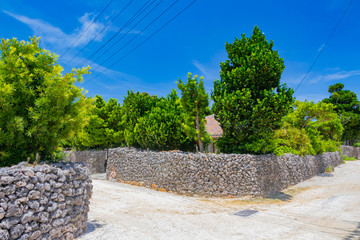 沖縄竹富島　白砂の小道と街並み　古民家