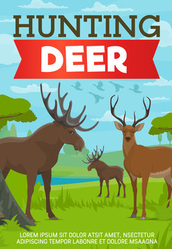Hunting deer and moose poster with forest animals