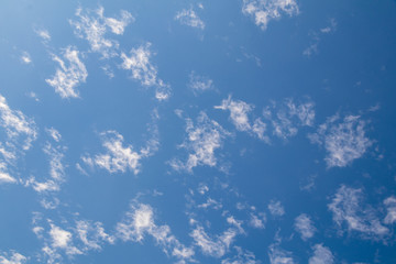 Deep blue sky and white cloud background.
