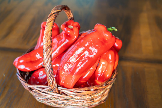 Red Bell Peppers in Basket after Harvest