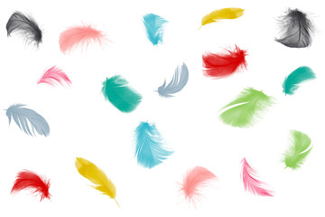 Colorful collection feathers floating in air isolated on white background 