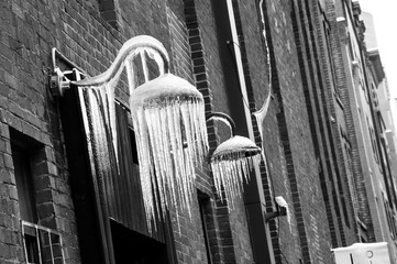 frozen lamps black and white