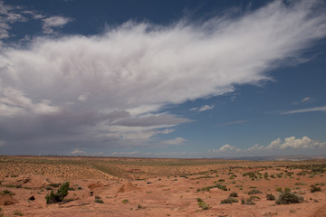 アリゾナの砂漠