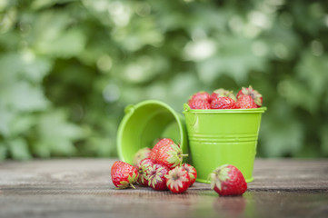 Strawberries in a small bucket