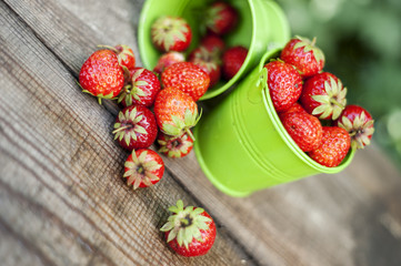 Strawberries in a small bucket