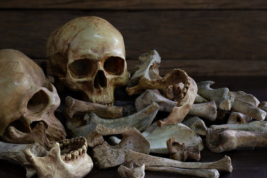 Awesome pile of three skull and bone on dark background in the morgue,