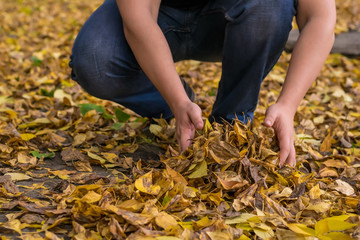 The guy collects the hands of fallen leaves on the street outdoors