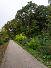 Fahrrad- und Fussgängerweg in der Au