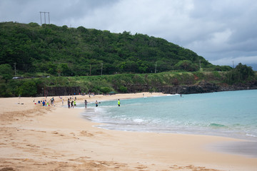 Hawaii Beach