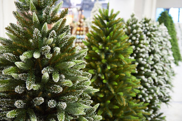 Decorative artificial christmas trees in store