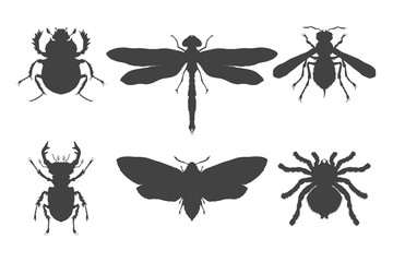 Vector set of hand drawn insects. Different insects in realistic style.