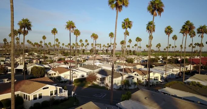 Southern California Oxnard Neighborhood Aerial Palm Trees