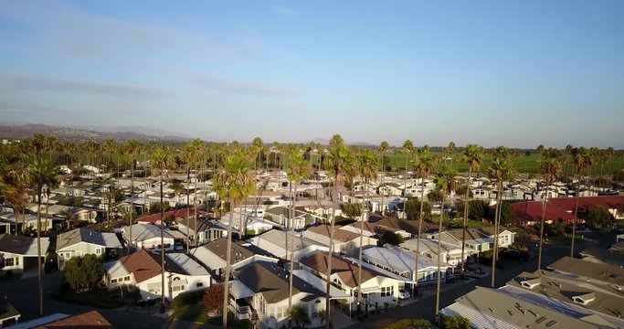 Southern California Oxnard Neighborhood Palm Tree Aerial