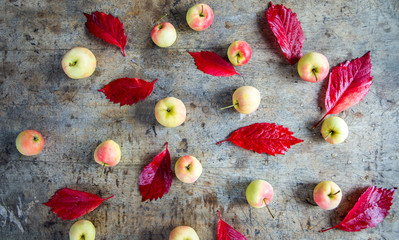 Apples grape leaves on old boards. autumn, Autumnal vertical background.