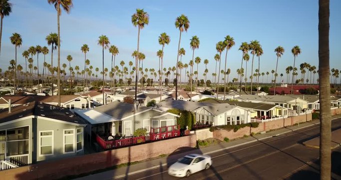 Southern California Suburb Aerial Palm Trees