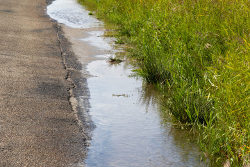 Puddle at the side of a path