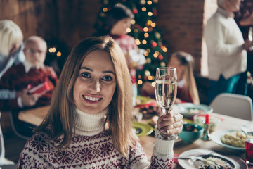 Portrait of cheerful girl with glass of wine. Noel morning gathe