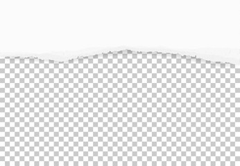 Torn paper edges for background. Ripped paper texture on transparent background. Vector.