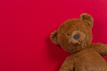 Teddy bear toy on red background