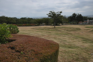 広場　公園　木々