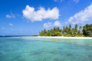 インド洋の美しいサンゴ礁の海