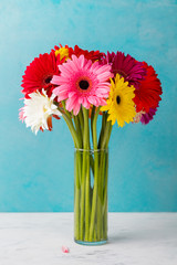 Colorful bunch of gerbera flowers in a glass vase. Blue background.