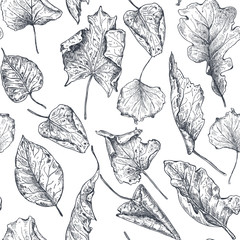 Vector seamless pattern with hand drawn dry autumn leaves.