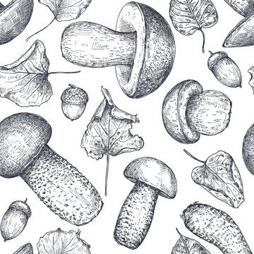 Vector seamless pattern with hand drawn forest mushrooms.