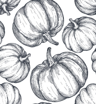 Vector Hand Drawn Sketched Pumpkin Seamless Pattern