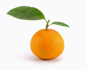 orange fruit with green leaves