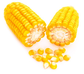 Ripe corn isolated.