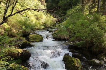 Obraz premium waterfall in forest