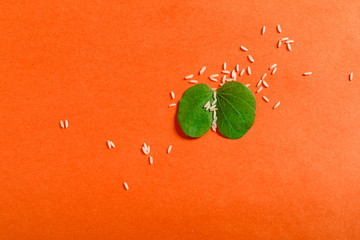 Happy Dussehra greeting card , green leaf and rice