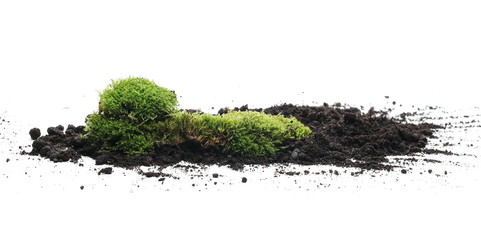 Green moss on soil, dirt pile, isolated on white background
