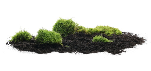 Green moss on soil, dirt pile, isolated on white background