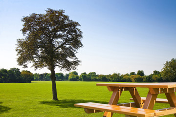 Picnic table on a green meadow with trees on background