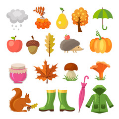 Autumn colored symbols. Vector icon set of autumn. Plant and mushroom, squirrel and hedgehog illustration