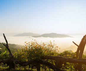 Beautiful sunrise with sea of fog over the Mekong river with wild Mexican sunflower foreground in Thailand