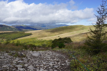 八島ヶ原湿原　霧ヶ峰　湿原　高原　秋　トレッキング　風景