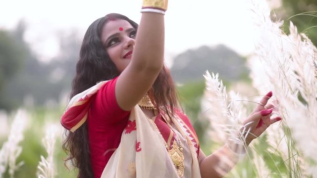 A playful and beautiful Indian bengali married woman plays with kaash phool or Saccharum Spontaneum in a field at sunset or sunrise, slow motion