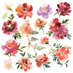 Watercolor flowers hand drawn colorful beautiful floral set with