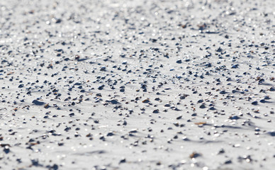 Many shells on a beach