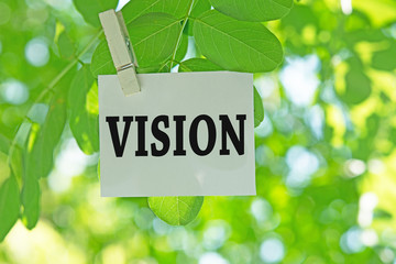 VISION

