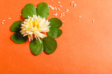 Happy Dussehra greeting card , green leaf and rice