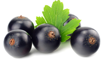 black currant with green leaf isolated on white background. macro