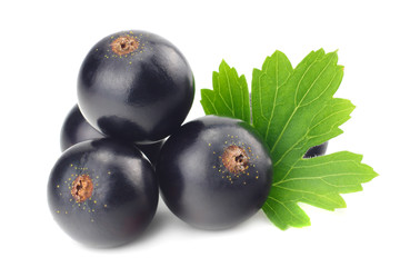 black currant with green leaf isolated on white background. macro